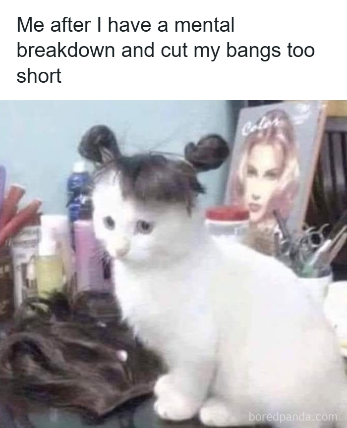 82 Hilariously Relatable Memes To Help You Cope With Anxiety