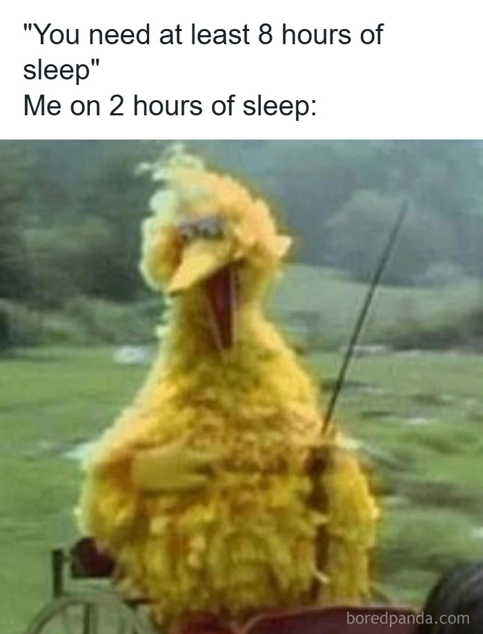 82 Hilariously Relatable Memes To Help You Cope With Anxiety