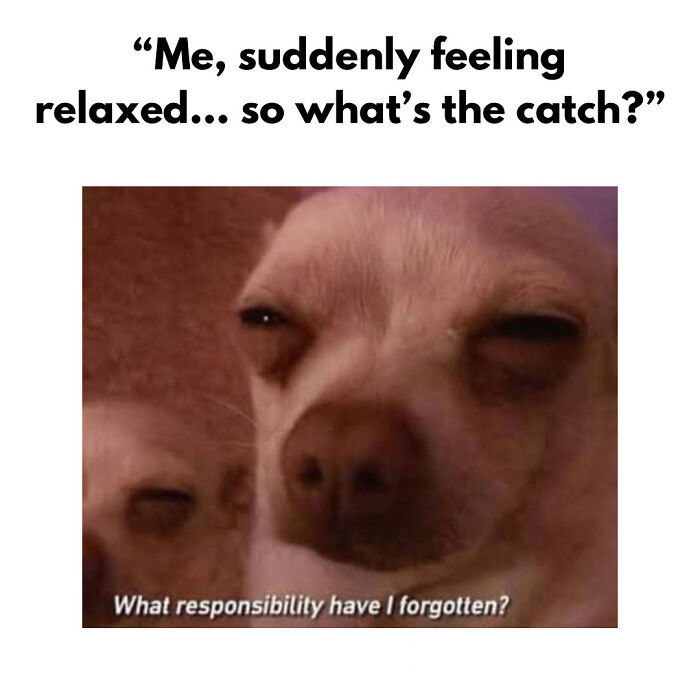 82 Hilariously Relatable Memes To Help You Cope With Anxiety