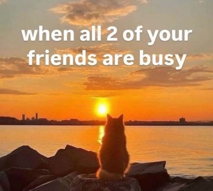82 Hilariously Relatable Memes To Help You Cope With Anxiety