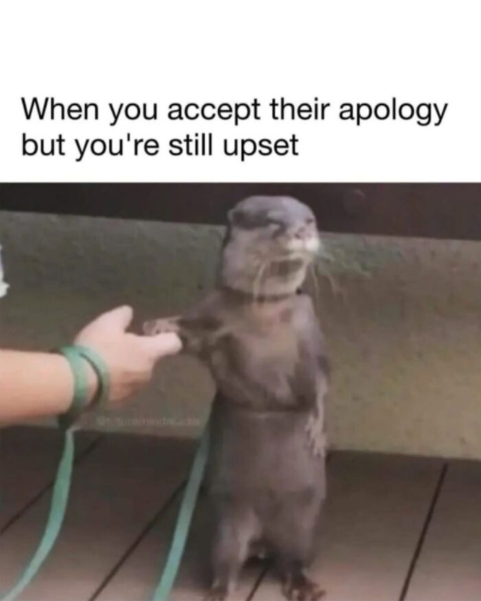 82 Hilariously Relatable Memes To Help You Cope With Anxiety