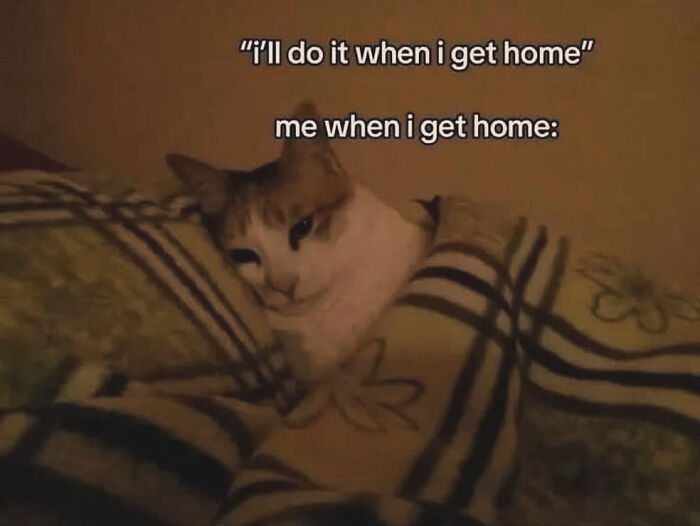 82 Hilariously Relatable Memes To Help You Cope With Anxiety