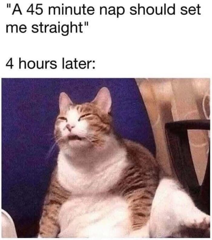 82 Hilariously Relatable Memes To Help You Cope With Anxiety