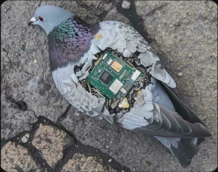 &#8220;Can I Solder It Back Together?&#8221;: 102 Painful Pics Of People Handling Electronics The Wrong Way