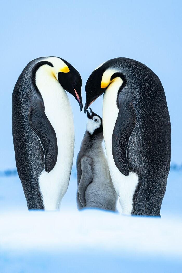 The 1839 Awards Have Announced The Winners Of The 2025 Photographer Of The Year Contest (39 Pics)