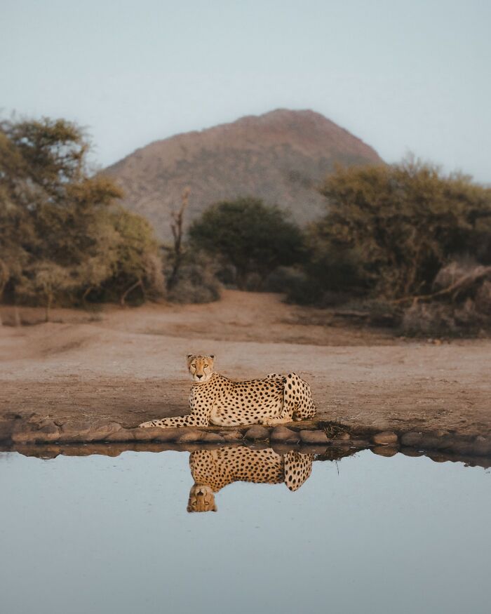 The 1839 Awards Have Announced The Winners Of The 2025 Photographer Of The Year Contest (39 Pics)