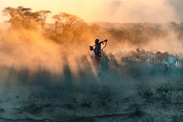 The 1839 Awards Have Announced The Winners Of The 2025 Photographer Of The Year Contest (39 Pics)