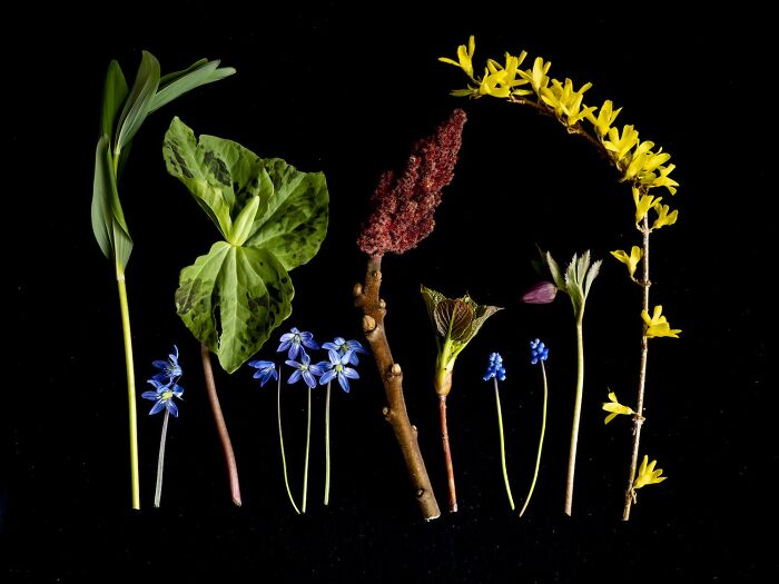 The 1839 Awards Have Announced The Winners Of The 2025 Photographer Of The Year Contest (39 Pics)