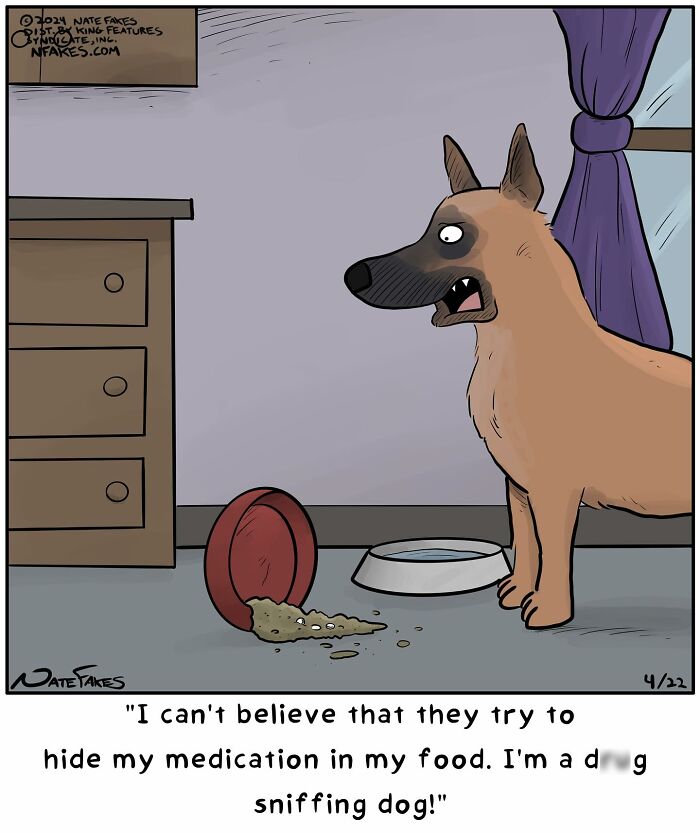 80 Witty Comics By Nate Fakes That Nail Life’s Absurdities (New Pics)