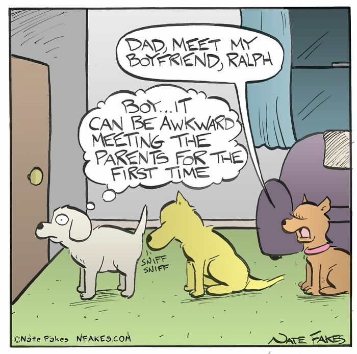 80 Witty Comics By Nate Fakes That Nail Life’s Absurdities (New Pics)