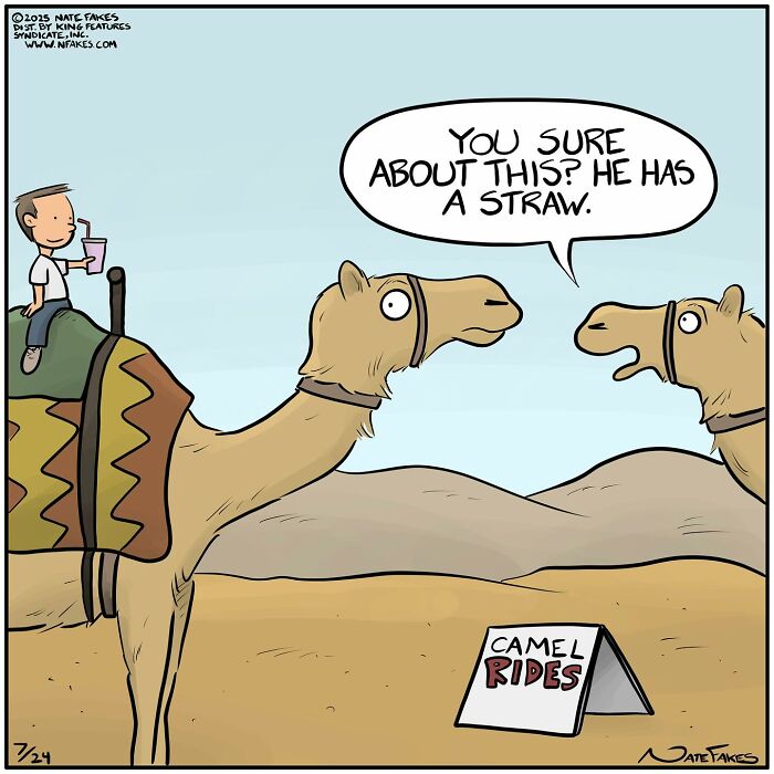 80 Witty Comics By Nate Fakes That Nail Life’s Absurdities (New Pics)