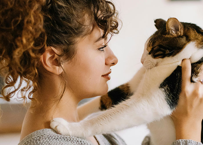 64 Bizarre Cat Hacks Owners Discovered That Actually Work