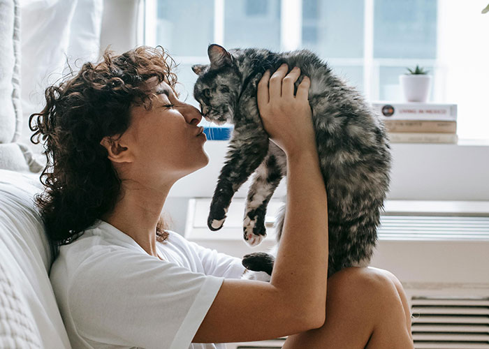 64 Bizarre Cat Hacks Owners Discovered That Actually Work