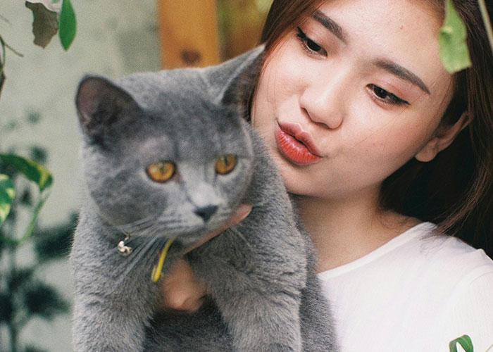 64 Bizarre Cat Hacks Owners Discovered That Actually Work