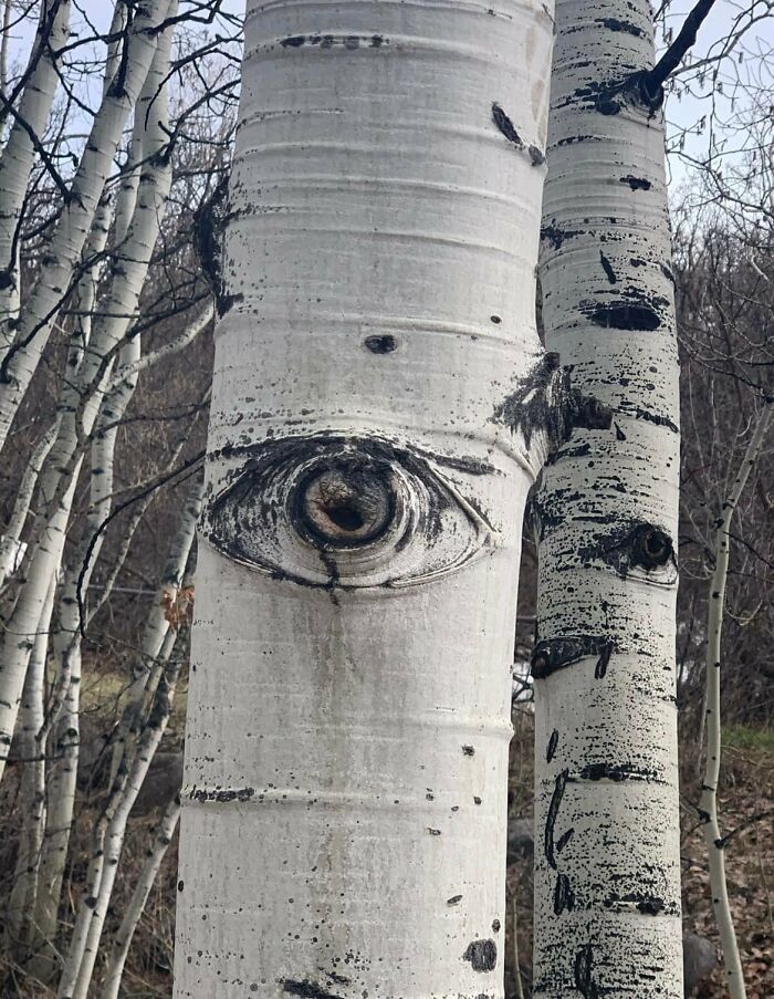“Bro Lives In A Truman Show”: 81 Beautiful Yet Unnerving Liminal Spaces You Can’t Stop Looking At