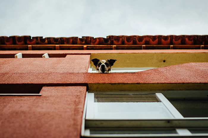 83 Nightmare Situations People Survived When They Shouldn’t Have