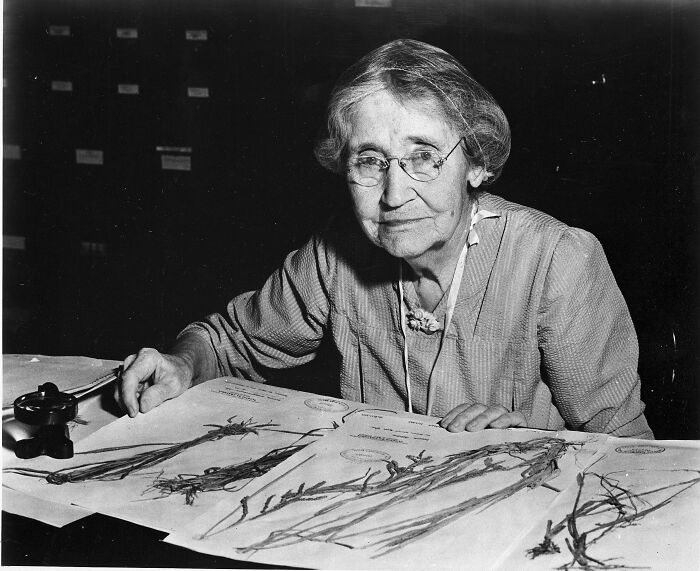 31 Remarkable Women Scientists Seen Through Smithsonian Portraits