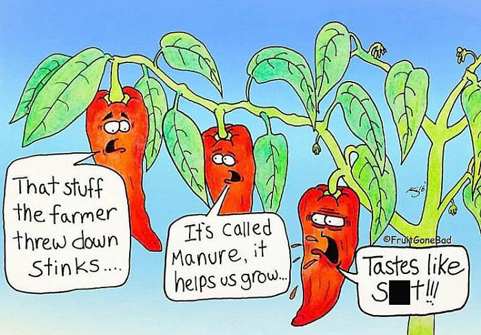 The Very Best Of &#8220;Fruit Gone Bad&#8221;: 50 Comics That Are Hilariously Twisted