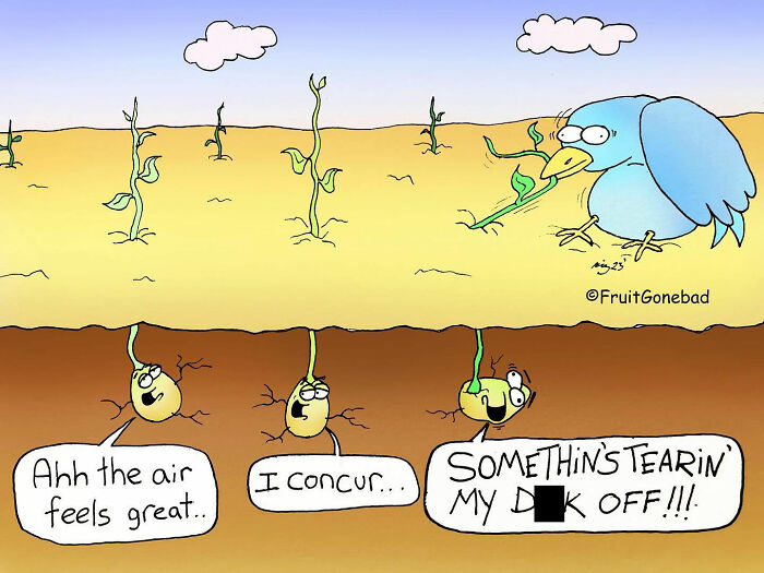 The Very Best Of &#8220;Fruit Gone Bad&#8221;: 50 Comics That Are Hilariously Twisted