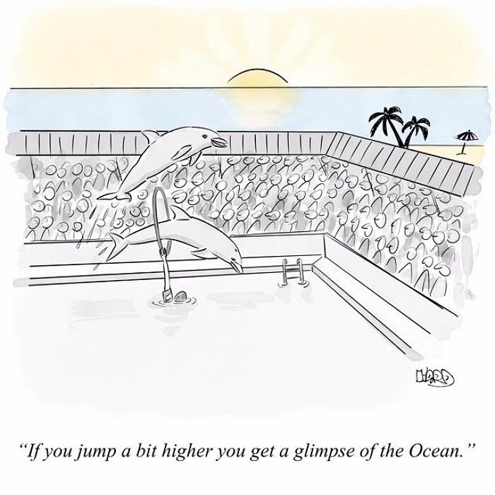 28 Funny One-Panel Comics By Hard Toons That Nail Life’s Absurdities