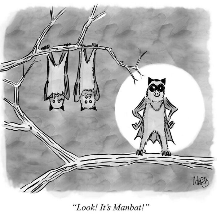 28 Funny One-Panel Comics By Hard Toons That Nail Life’s Absurdities
