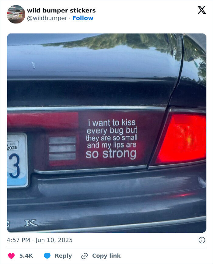 79 Drivers Share The Funniest Bumper Stickers They&#8217;ve Spotted On The Road (New Pics)
