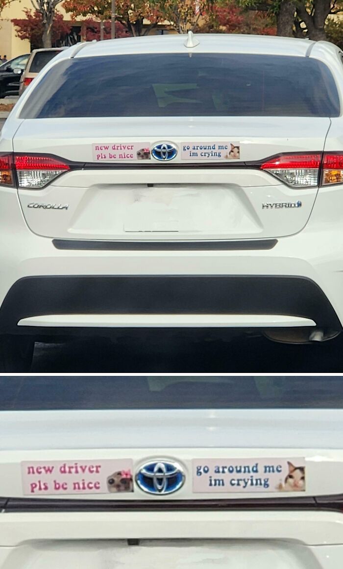 79 Drivers Share The Funniest Bumper Stickers They&#8217;ve Spotted On The Road (New Pics)