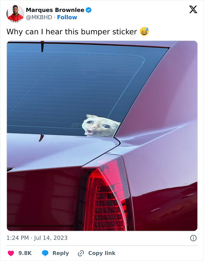 79 Drivers Share The Funniest Bumper Stickers They&#8217;ve Spotted On The Road (New Pics)