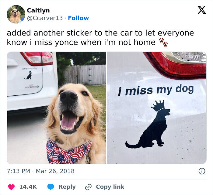 79 Drivers Share The Funniest Bumper Stickers They&#8217;ve Spotted On The Road (New Pics)