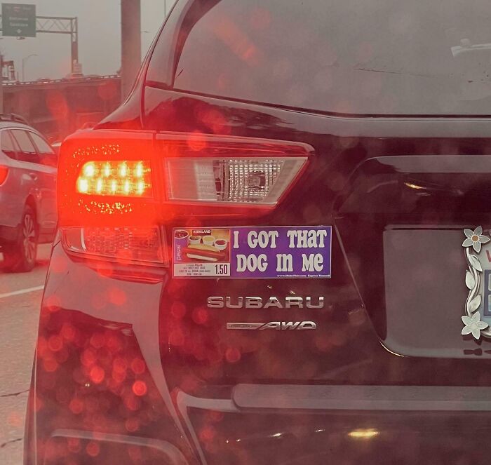 79 Drivers Share The Funniest Bumper Stickers They&#8217;ve Spotted On The Road (New Pics)