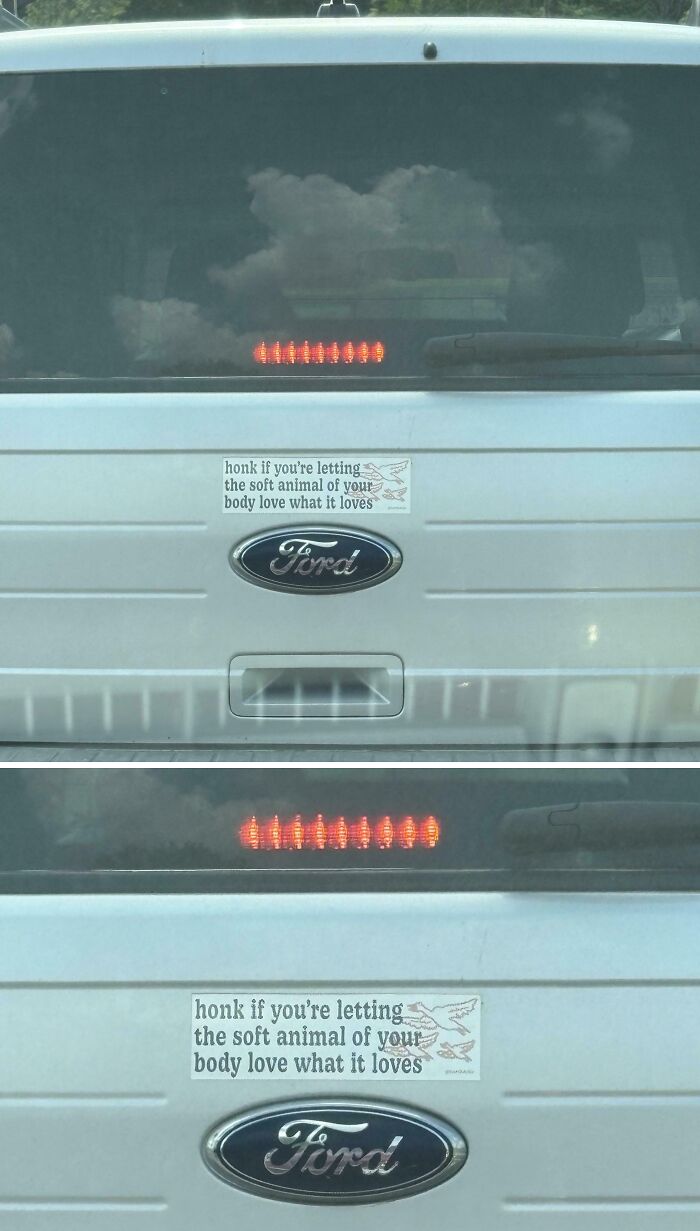 79 Drivers Share The Funniest Bumper Stickers They&#8217;ve Spotted On The Road (New Pics)