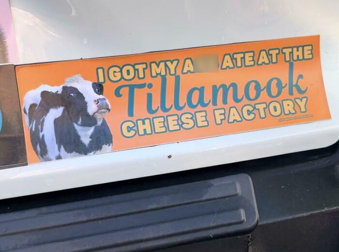 79 Drivers Share The Funniest Bumper Stickers They&#8217;ve Spotted On The Road (New Pics)