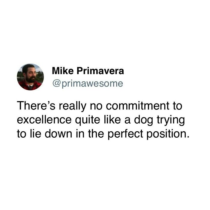 54 Hilarious “Prime Awesome” Tweets That Might Have You Spitting Your Morning Coffee