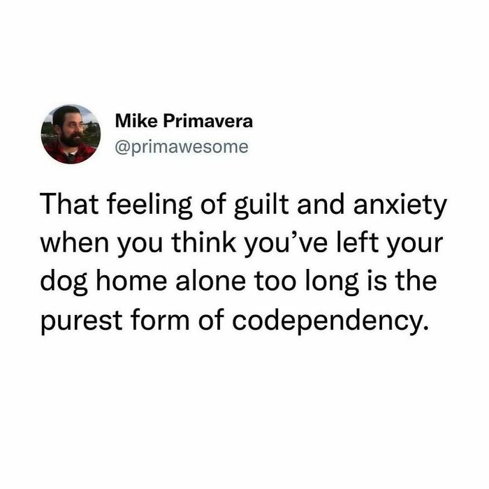 54 Hilarious “Prime Awesome” Tweets That Might Have You Spitting Your Morning Coffee