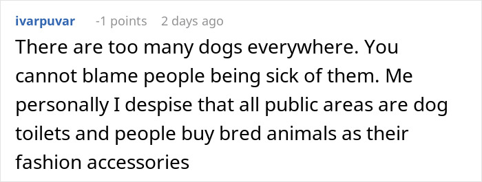 “You Look Perfectly Healthy”: Lady Attacks Shopper For Service Dog Fraud, Begs For Forgiveness Moments Later