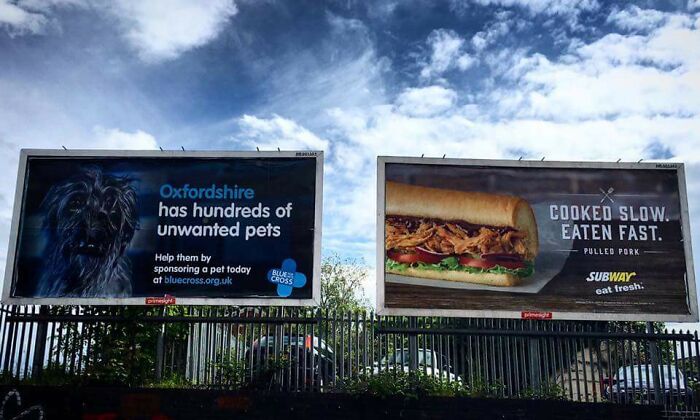 “Accidental Comedy”: 61 Seemingly Harmless Pics That Have No Business Being This Funny (New Pics)