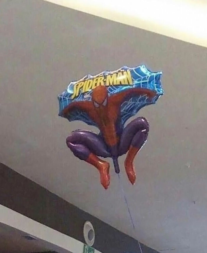 “Accidental Comedy”: 61 Seemingly Harmless Pics That Have No Business Being This Funny (New Pics)