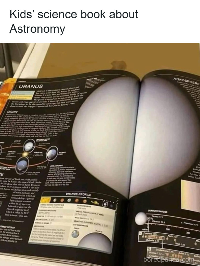 “Accidental Comedy”: 61 Seemingly Harmless Pics That Have No Business Being This Funny (New Pics)