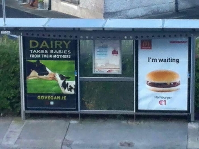 “Accidental Comedy”: 61 Seemingly Harmless Pics That Have No Business Being This Funny (New Pics)