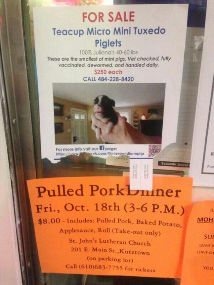 “Accidental Comedy”: 61 Seemingly Harmless Pics That Have No Business Being This Funny (New Pics)