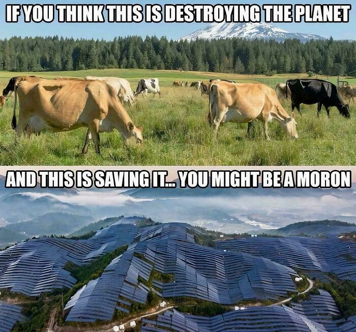 You Can Tell A Lot About A Person By The Memes They Share, And These 112 Infuriating Examples Prove It (New Pics)