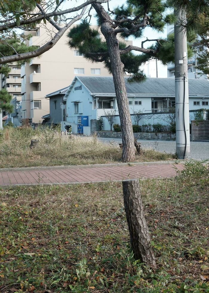 “Freaks Me Out Every Time I See It”: 76 Unphotoshopped Pics That Look Fake But Are 100% Real