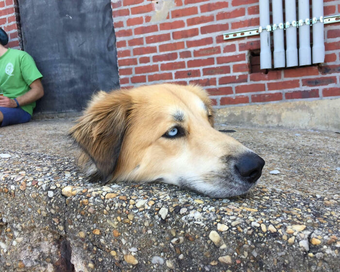 “Freaks Me Out Every Time I See It”: 76 Unphotoshopped Pics That Look Fake But Are 100% Real