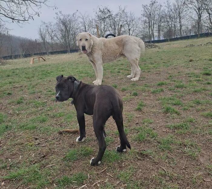 “Freaks Me Out Every Time I See It”: 76 Unphotoshopped Pics That Look Fake But Are 100% Real