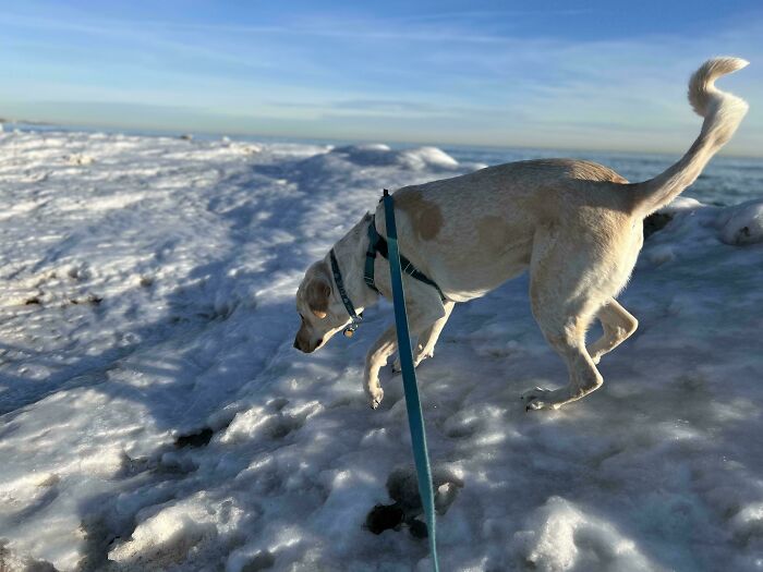 “Freaks Me Out Every Time I See It”: 76 Unphotoshopped Pics That Look Fake But Are 100% Real