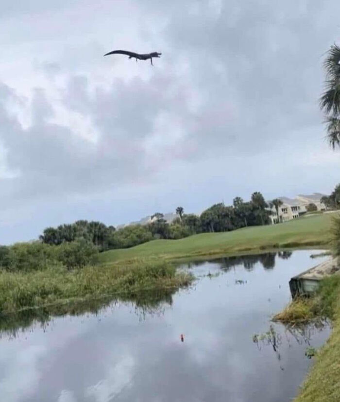 “Freaks Me Out Every Time I See It”: 76 Unphotoshopped Pics That Look Fake But Are 100% Real