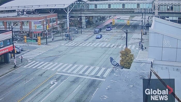 “Freaks Me Out Every Time I See It”: 76 Unphotoshopped Pics That Look Fake But Are 100% Real