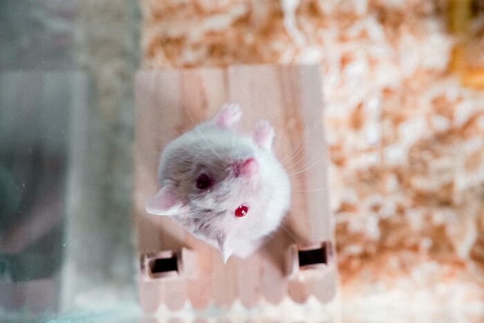 Scientists Reveal 37 Of The Most Terrifying Things That Went Wrong In Their Labs