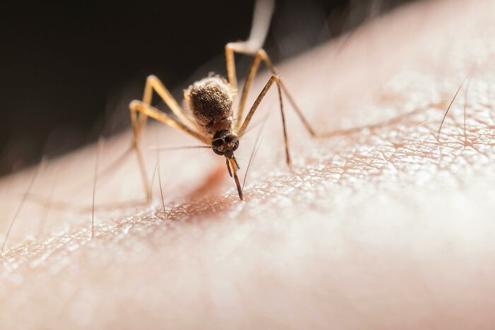 Scientists Reveal 37 Of The Most Terrifying Things That Went Wrong In Their Labs