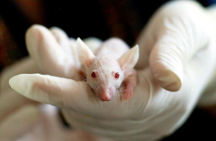Scientists Reveal 37 Of The Most Terrifying Things That Went Wrong In Their Labs